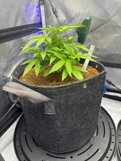 475CB063-3DEE-4AE4-9F48-24386BC251BE