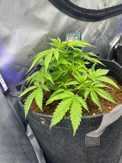 9468DD75-22F7-4747-8B77-FDF78EC1BC85