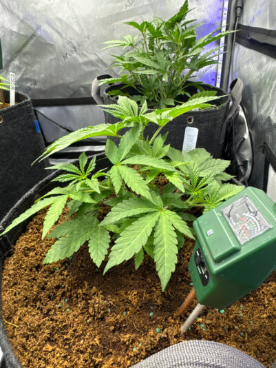 023F2A1B-0623-4D7B-9D08-9E97FD4DCE14