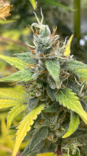 5EEAA70A-1D8D-48FE-B857-1914339D956A