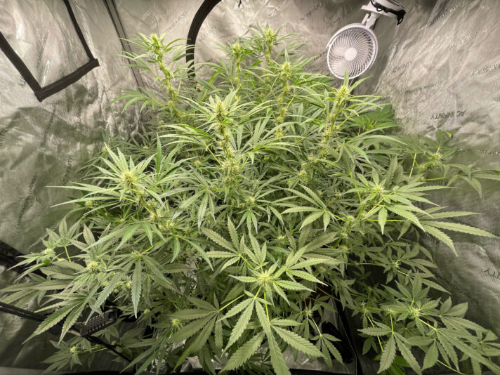 57073C82-7FD5-4FAF-B59C-88D7DDCB3A61