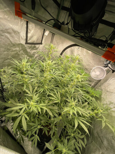 F3C45458-9F02-46AE-8C4E-7DB7D237306F