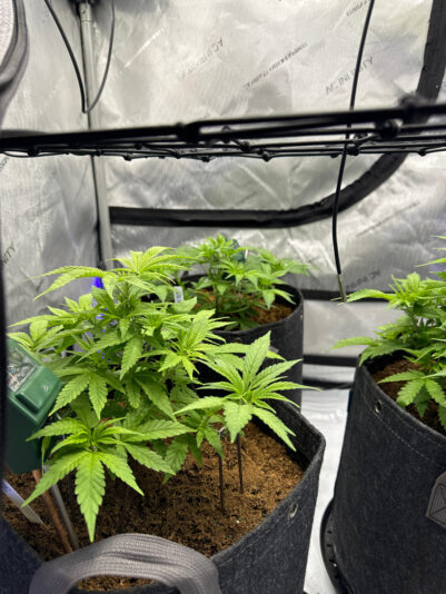 3B651AF6-53C0-4694-8F75-B7989EF8834D