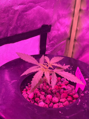 6CFCEC25-E365-4782-82B5-8ADC446E1BCC