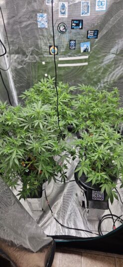 031612d9-b9d4-469d-a648-fb80270f6fa4