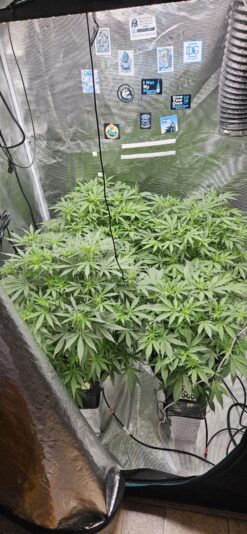 63be364a-f9c8-4c54-bf05-c733efb23fd1