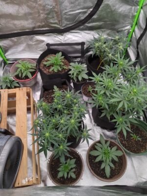 80df4f94-faa1-4cc2-8d7e-47abda88e5bd