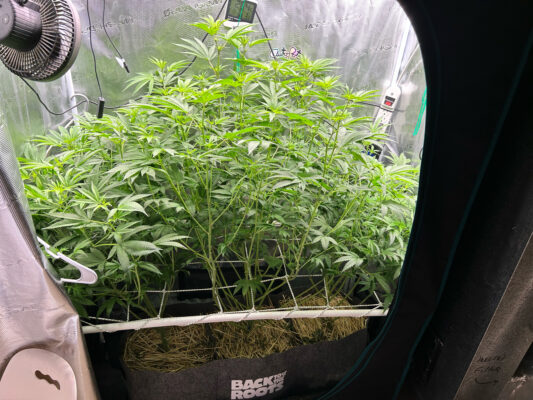 D6E603EC-E89B-497A-BB6B-2030C5668133