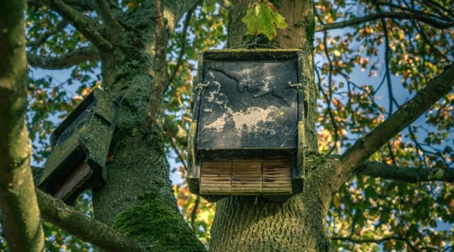 BC981737-B7B2-412B-A29A-1D5CE0D1DF6C