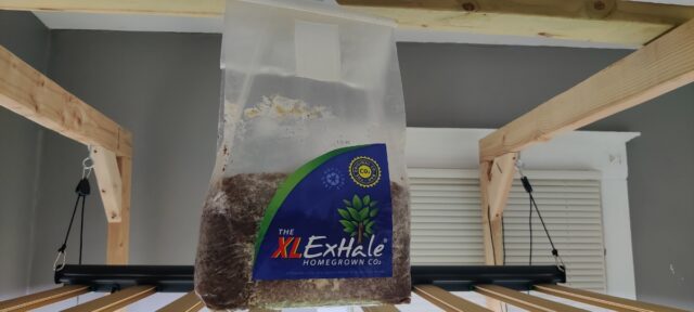 9ab00f8a-21f9-4046-b1d5-a9ca8a0b9bf1