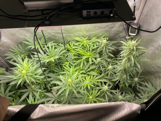 C28478B8-44E9-47D6-B805-14CA79071A0C