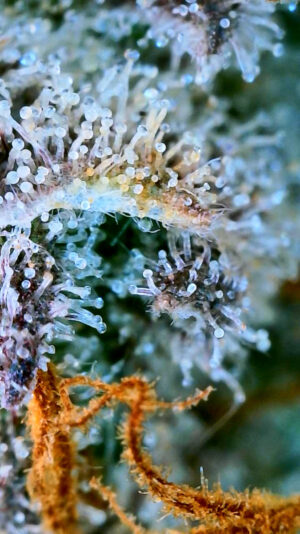 D9110461-3E3D-4DAE-9CFA-E4A8CB711D17