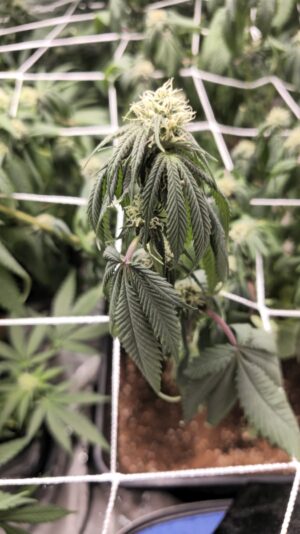 411ab050-a936-4816-a260-208aa9c7967c