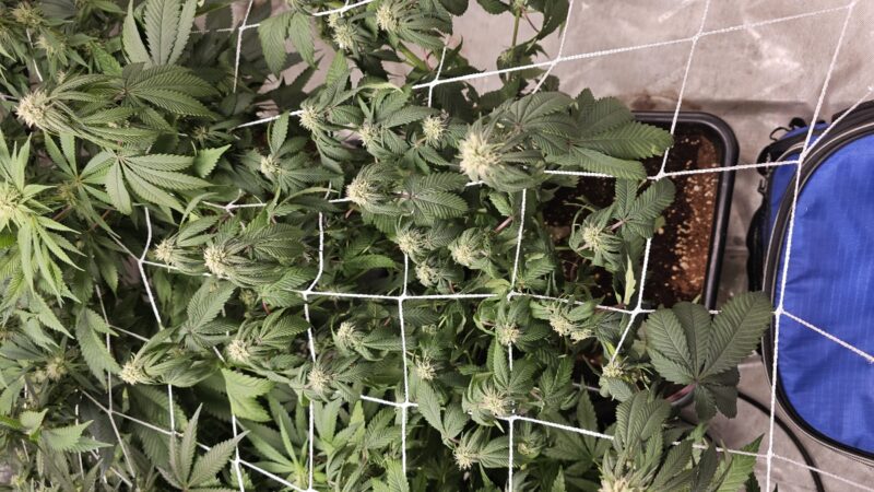 ee06582d-3773-4e7e-8c4c-671a93f2ef77