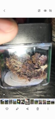 3aa489fb-e484-4f37-8f96-ea0d3e5e38ee