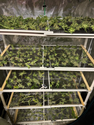 39E2C480-0B2A-4B9C-878E-7EF2C7883E18