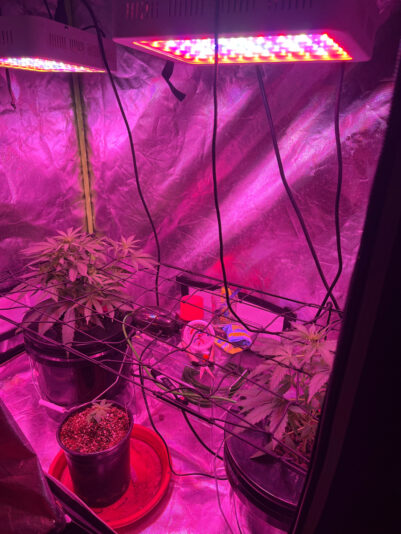 46276511-CBA5-419A-8944-1B0FEC1DF4A8