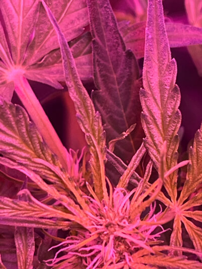 14E6620D-C897-4CC9-B8FA-3417B3EE471F