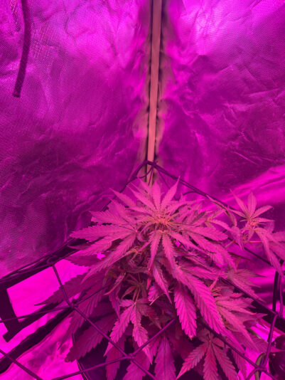 097D9095-8A3F-4945-8DDF-108F6FEBB566