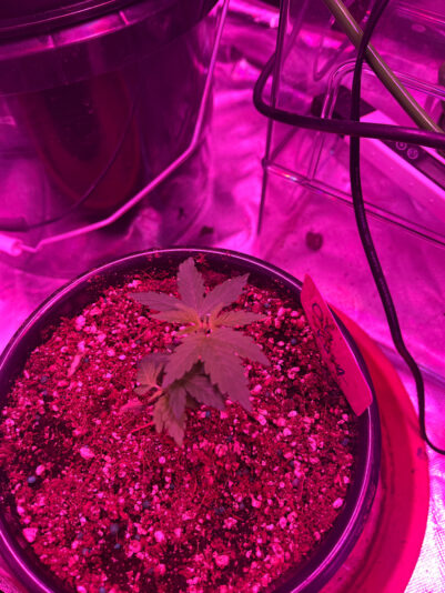 89217C29-ADF2-48C1-A4EF-CEE7C84B957B