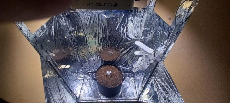 de813e6f-64e9-479d-9233-b32f19e6db52