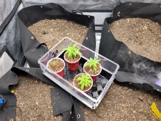 8cf66ee2-7f67-4553-8822-20c65996dfcf