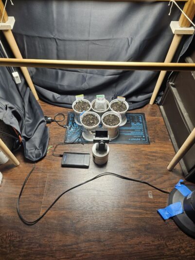 photo_2024-06-12_20-03-04