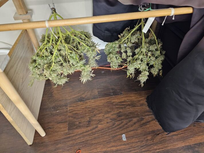 photo_2024-06-12_20-18-59