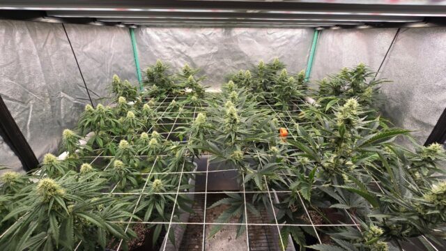 5c85ba48-6231-45a4-801c-225ff045368b