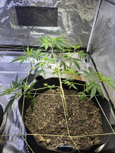 2d5ef316-5904-48bb-8a4c-f74fa8e0c86a