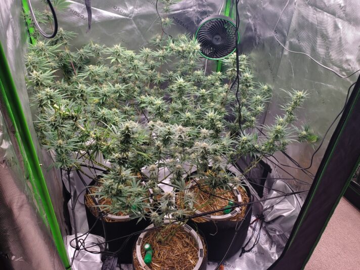 a9abe920-0b2c-43f8-a4f5-57dec14279ad