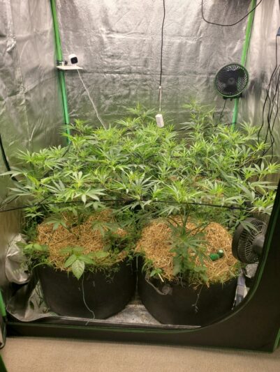 0003fac7-03d4-4f8b-9de9-88d367f98efc