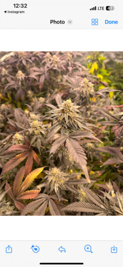 8ED8CB22-AFDB-4E2C-9E7B-2E0B20E342BE