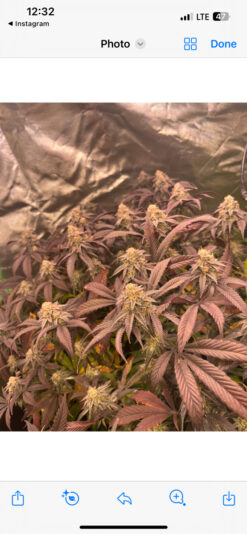 DBF86DE8-11EC-43C0-BAB1-598B9E4C6B82