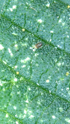 3CA4DA9D-0524-4DAB-B411-B9D9A8F2FE7B