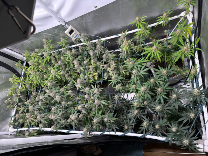 6106E4CE-934D-4662-AE1B-2E4AC1CEE65D