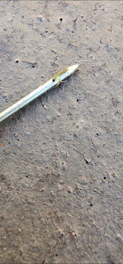 ccf7166b-099a-4f29-8384-1546bca67369