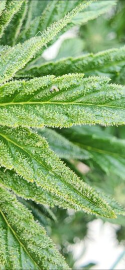 becad8da-a770-486a-a662-b83298e52d49