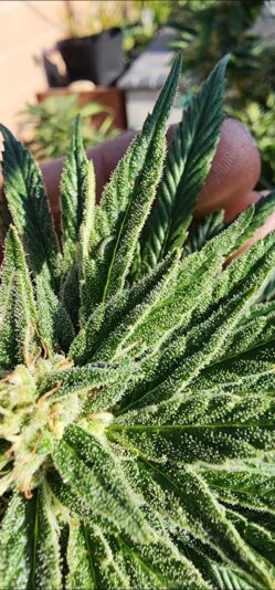 df6ca68f-fe9d-4a57-bd1a-851eac544be8