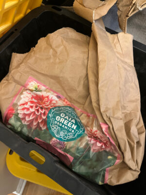 80671DFB-6CA0-40D4-9CD8-B5832304631C