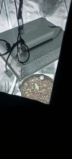 d3d278e7-c642-4cec-878f-402250e70df4