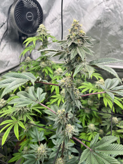 13C18878-3048-41AA-AD72-AB5237C1362D