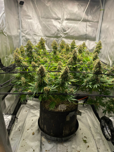 E4141829-E889-484C-85B6-78521A1616C3