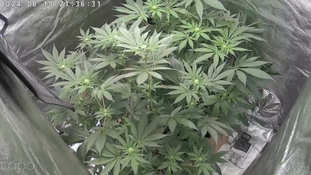 64b8b742-9cdf-43c9-bcde-5b47ddfe4103