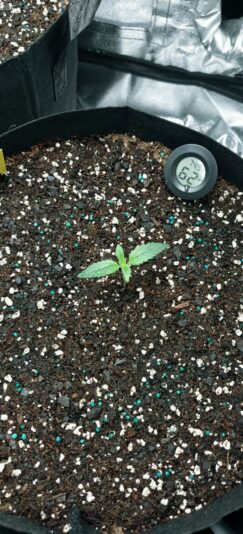 2473e449-477d-4372-a882-5433e20b3a21