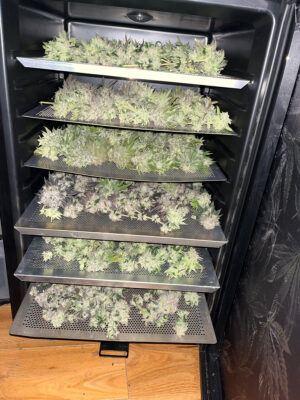 E18689FF-FEBD-4D7B-9A99-E87285C897B0