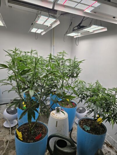 1c88f709-5e67-4bb1-ad65-81f467f0f21e