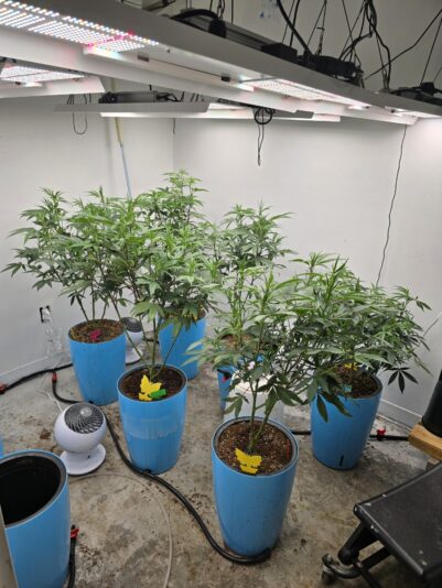 e549cdb1-891d-47c0-a085-1286e3398210