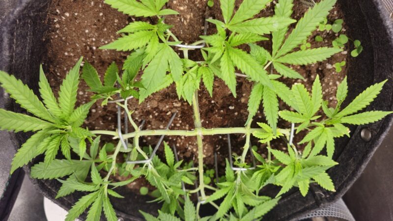 298a010b-de03-47f5-acf1-c010a5d49976