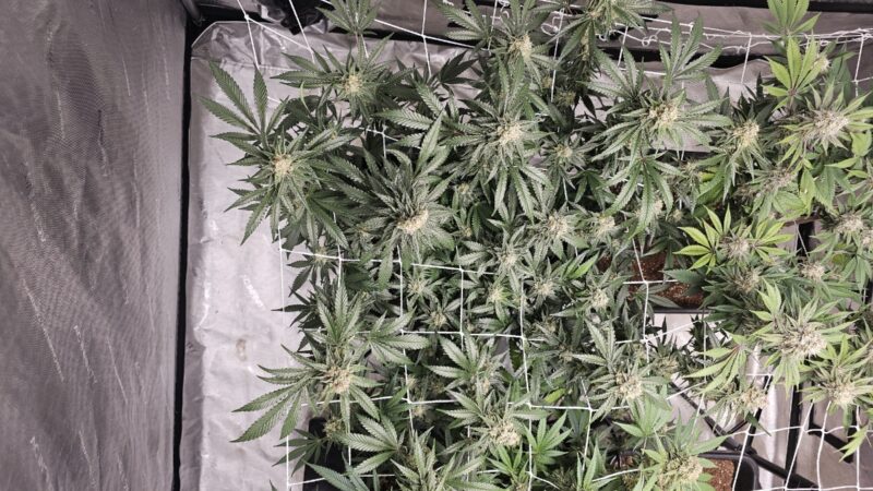 8b474aaf-78b5-4cf0-9e30-298f0a584610